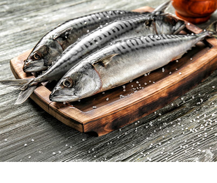 conseils Nutritionels