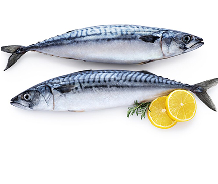 conseils Nutritionels